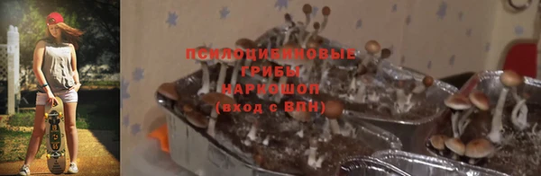 ешки Алексин
