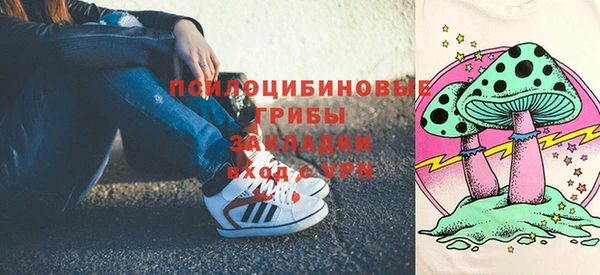 ешки Алексин