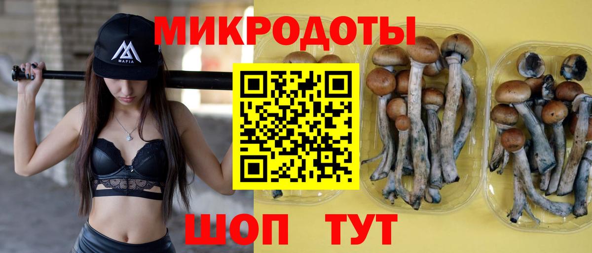 что такое наркотик  Вход с VPN  Галлюциногенные грибы Magic Shrooms  Воткинск  Псилоцибиновые грибы прущие грибы 